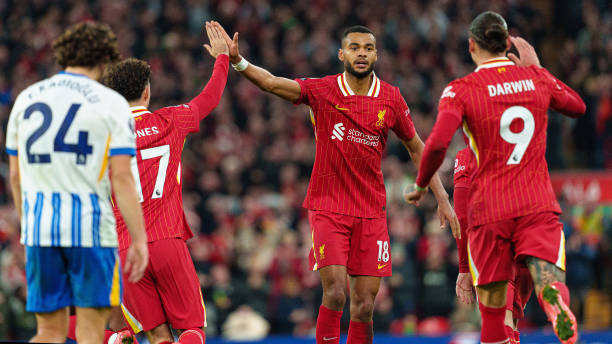 球队在未来 球队在未来