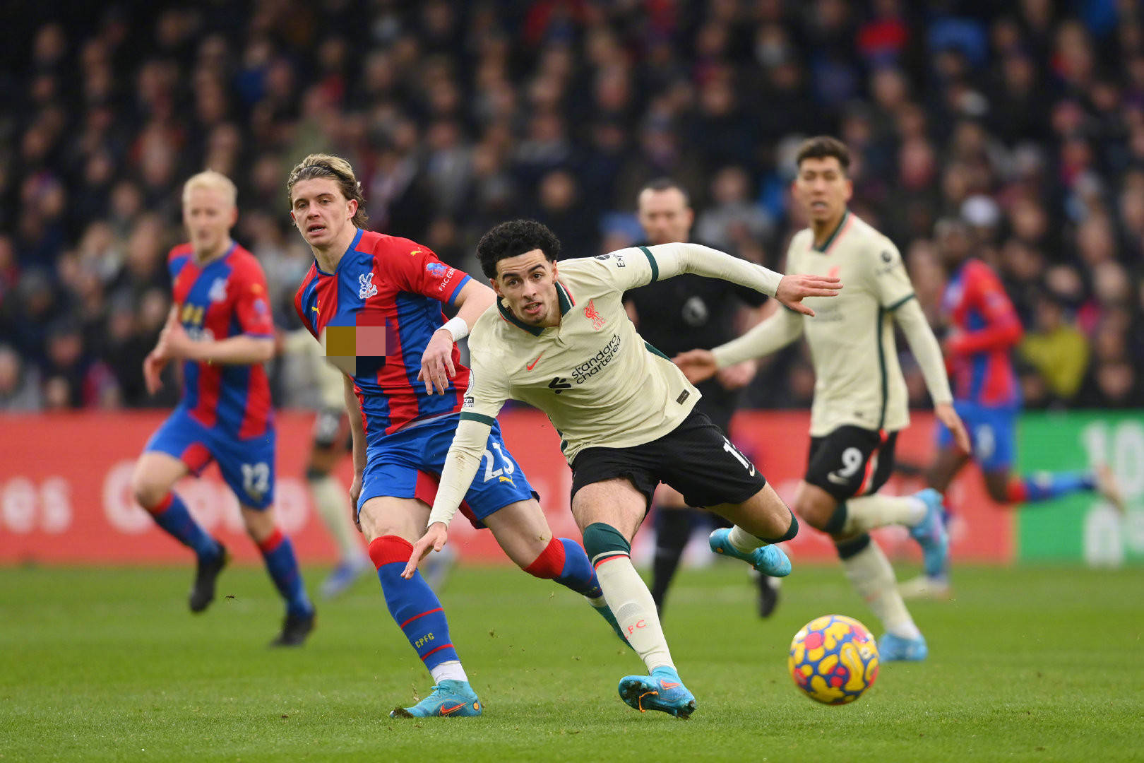 深入了解西 深入了解西