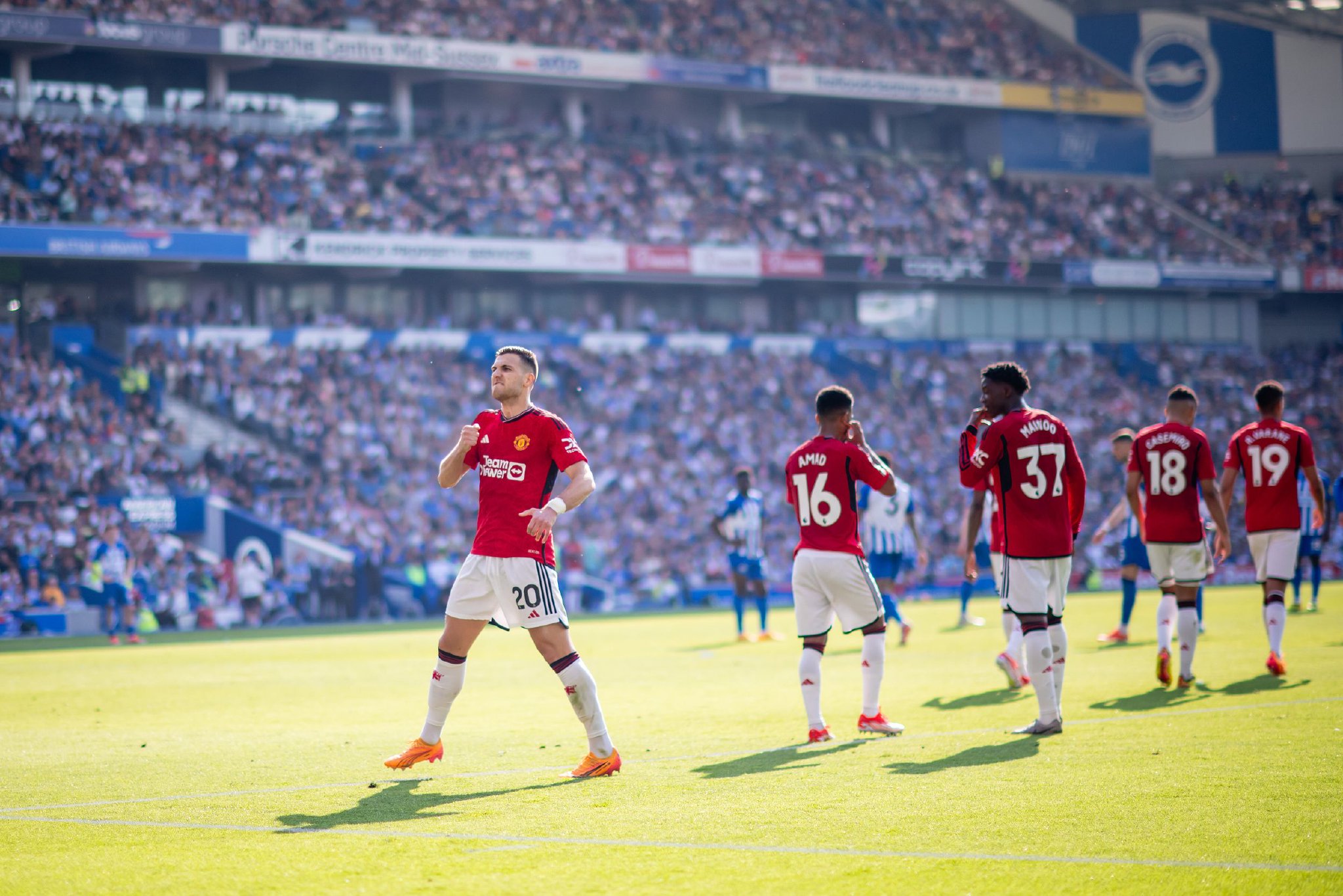 他的组织 他的组织