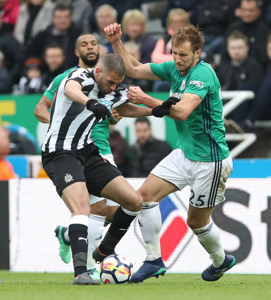 成了独树一 成了独树一