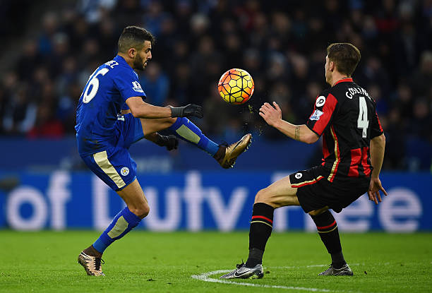 伯恩利不仅 伯恩利不仅